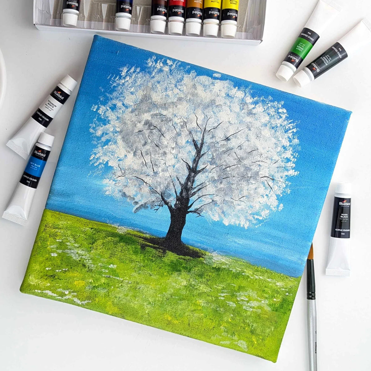 Bluebird Signature Acrylic - Set of 12 x 12ml tubes
